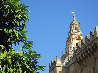 tower of cathedral